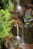 Waterfall at Mt Rainier National Park Mt Rainier National Park,  Washington State,  USA,  America