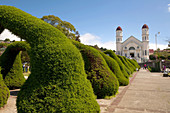 The San Rafael church with arched shrubs in Zacero,  Costa Rica,  Central America