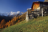 Weisskugel (3736 m),  Passeier Valley,  Trentino-Alto Adige,  Italy
