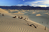 Mesquite Flats Sand Dunes,  sand dunes,  desert area,  Death Valley National Park,  California,  USA