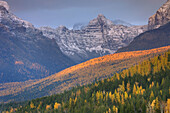 Little Matterhorn 2403 m 7884 ft glows in the evening light above forest dotted with autumn colrs,  Glacier National Park Montana USA