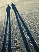 shadow of two skiers on the snow