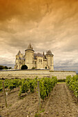 Saumur Castle (Chateau de Saumur). Maine_et_Loire . Saumur. Loire Valley. France