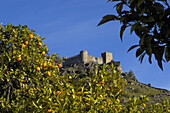Burguillos del cerro Castle Badajoz province Extremadura Spain