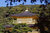 Kinkakuji,  the Golden Temple,  framed in leaves and situated in the north west part of Kyoto