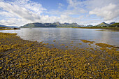 Lake,  Langoya island,  Vesteralen,  Nordland,  Norway