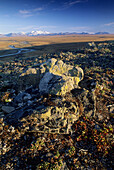 Landscape view of river and landscape in the Arctic National Wildlife Refuge