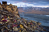 Landscape view of river and landscape in the Arctic National Wildlife Refuge