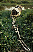 Asia, Asian, Boat, Canal, Delta, House, Jungle, Living, Mekong River, River, Vietnam, Vietnamese, Wood, T91-811131, agefotostock 