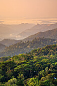 Tea Plantations,  Munnar,  Western Ghats,  Kerala,  South India