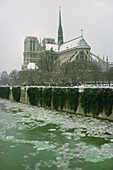 The Seine and cathedral Notre Dame in winter,  Paris,  France