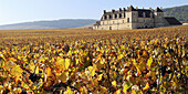 THE VINEYARD AND CASTLE OF CLOS DE VOUGEOT IN AUTUMN,  COTES D´OR,  BURGUNDY,  FRANCE