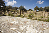 Ruins of 5th century basilica with mosaic flooring,  Sipahi (aka Agia Trias),  Karpass Peninsula,  Cyprus