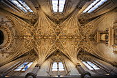 Star-shaped vault in the church vestry of the old monastery and hospital of San Marcos,  Leon. Castilla-Leon,  Spain