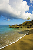 Lone tree grows in the rocks above a tropical sandy beach under a blue sky with cumulus clouds. Drake Bay,  Costa Rica