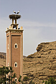 Storks nest upon the minaret of a mosque,  Todra Gorge. Morocco