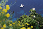 Capri,  Italy View from Salto di Tiberio