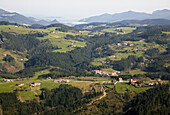 Near Gernika,  Biscay,  Basque country,  Spain