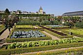France,  Villandry 37  Decorative vegetable garden in castle of Villandry gardens,  and Saint-Etienne church