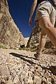 Woman hiking into the Grand Wash slot canyon in Capital Reef National Park,  Utah