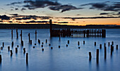 Old pilings at Titlow Beach,  Tacoma,  Washington