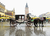 Poland,  Krakow,  Main Market Square,  carriage,  rain