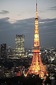Japan,  Tokyo,  skyline at night,  Mori Tower,  Tokyo Tower