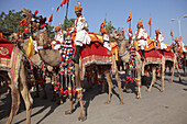 India,  Rajasthan,  Jaisalmer,  Desert Festival,  camel procession