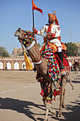 India,  Rajasthan,  Jaisalmer,  Desert Festival,  camel tattoo show