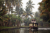 India,  Kerala,  Backwaters,  motorboat,  landscape,  scenery