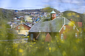 View through flower meadow at church of Qaqortoq, Kitaa, Greenland