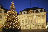 Weihnachtlicher Tannenbaum vor dem Rathaus, Bonn, Nordrhein-Westfalen, Deutschland