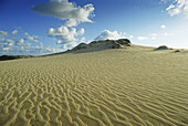 Sand dunes at Ellenbogen, near List, Sylt, North Frisian Island, North Sea, Schleswig-Holstein, Germany