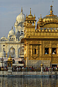 Golden Temple gleaming in the sunlight, Sikh holy place, Amritsar, Punjab, India, Asia