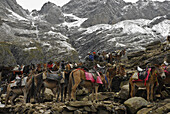 Mules and Sikh pilgrims at holy Hemkund lake, Garhwal Himalaya, Uttarakhand, India, Asia