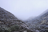 Rauhreif am Morgen in den Bergen, Thangsing, Trek zum Gocha La in der Kangchendzönga Region, Sikkim, Himalaja, Nord Indien, Asien