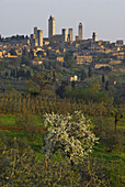 Blick auf Altstadt mit Geschlechtertürmen im Frühjahr, San Gimignano, Toskana, Italien, Europa