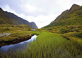 Hikers in lonesome mountain scenery, Lofoten, Norway, Scandinavia, Europe