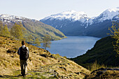 Junge Frau wandert auf dem Roldalsfjellet mit Blick auf den Roldalsvatnet, Roldal, Hordaland, Südnorwegen, Norwegen, Skandinavien, Europa