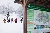 Group of snowboarders ascending, wildlife reserve Schwarzhorn, Reichenbach valley, Bernese Oberland, Canton of Bern, Switzerland