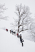 Group of snowboarders ascending Grindelgrat, Reichenbach valley, Bernese Oberland, Canton of Bern, Switzerland