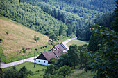 Blick auf eine Talstraße, nördlicher Schwarzwald, Baden-Württemberg, Deutschland