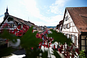 Half-timbered houses, Gengenbach, Black Forest, Baden-Wuerttemberg, Germany