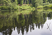 See im Neuhöfer Tal, Pfälzer Wald, Rheinland-Pfalz, Deutschland