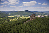 Asselstein, Annweiler am Trifels, Pfälzerwald, Rheinland-Pfalz, Deutschland