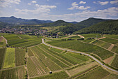 Weinberge und Felder, Pfälzerwald, Rheinland-Pfalz, Deutschland