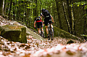 Mountainbiker auf Waldweg, Pfälzerwald, Rheinland-Pfalz, Deutschland
