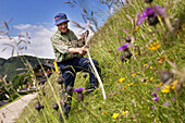 Farm servant scything, Kaisertal, Ebbs, Tyrol, Austria