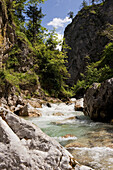 Mountain stream near Tischofer Cave, Kaisertal, Ebbs, Tyrol, Austria