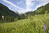 Laufbichl Alpe im Hintersteiner Tal, Bad Hindelang, Allgäu, Schwaben, Bayern, Deutschland
